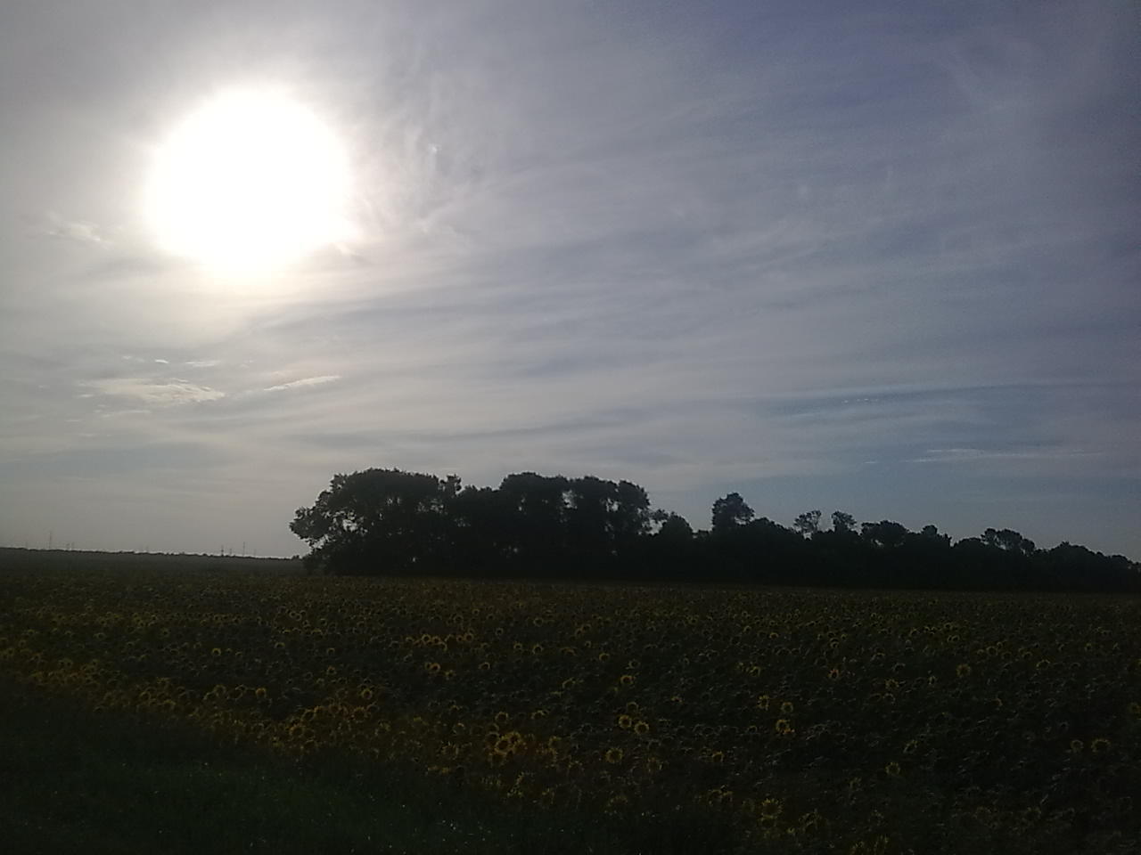 Небесные полотна