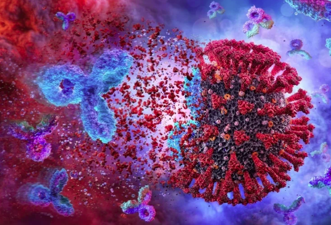 Мета-анализ эффективности вакцины COVID-19 в связи с титрами антител