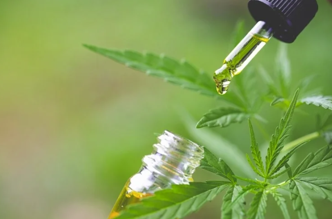 Каково влияние перорального каннабидиола на симуляцию вождения?