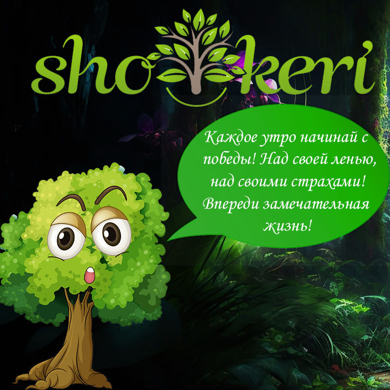 15 советов, как покупать продукты с ограниченным личным бюджетом