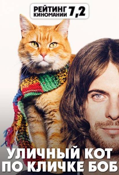 От бездомного до суперзвезды: как кот Боб изменил жизнь человека»