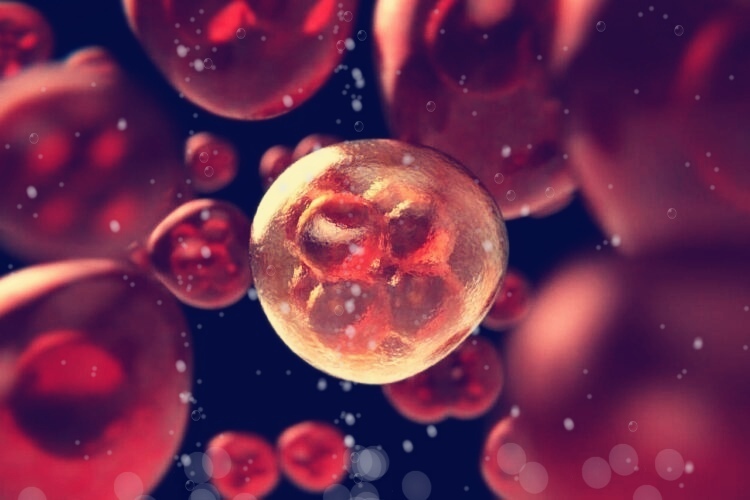 Фобии: Топ-10 самых распространенных фобий, которых боится человечество