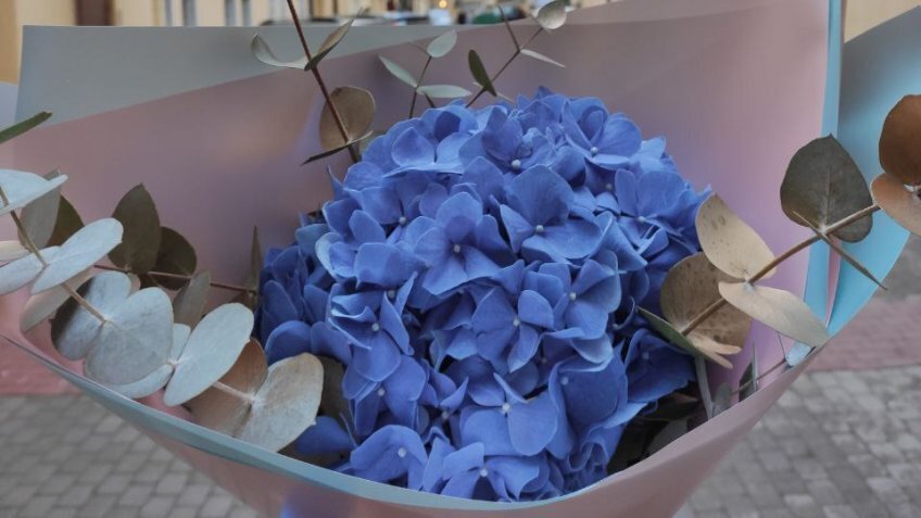 Цены на цветы в Петербурге к 8 марта выросли на 9%. Почему цветы стали роскошью?