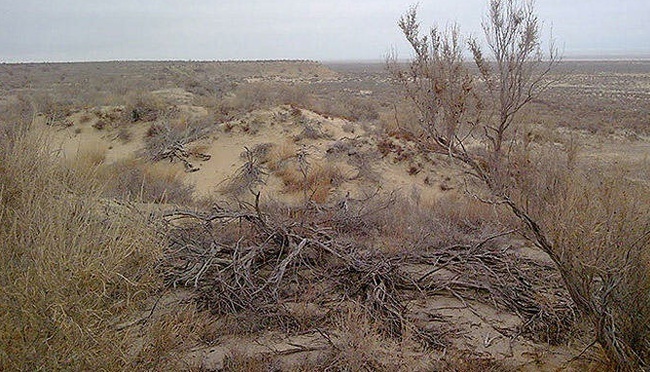 Аральск-7 - закрытый город, где были биологические лаборатории. Что там сейчас