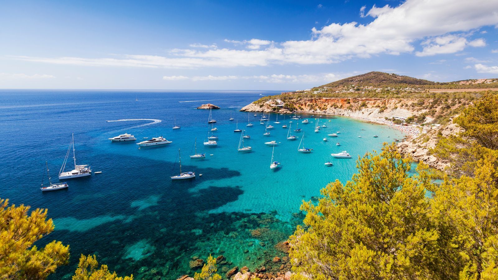 Случаи лихорадки денге на Ибице вызывают предупреждение у туристов от испанских чиновников здравоохранения