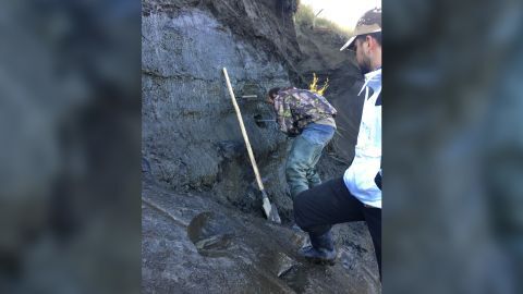 Ученые возродили "зомби" вирус, который провел 48 500 лет в замороженном состоянии в вечной мерзлоте