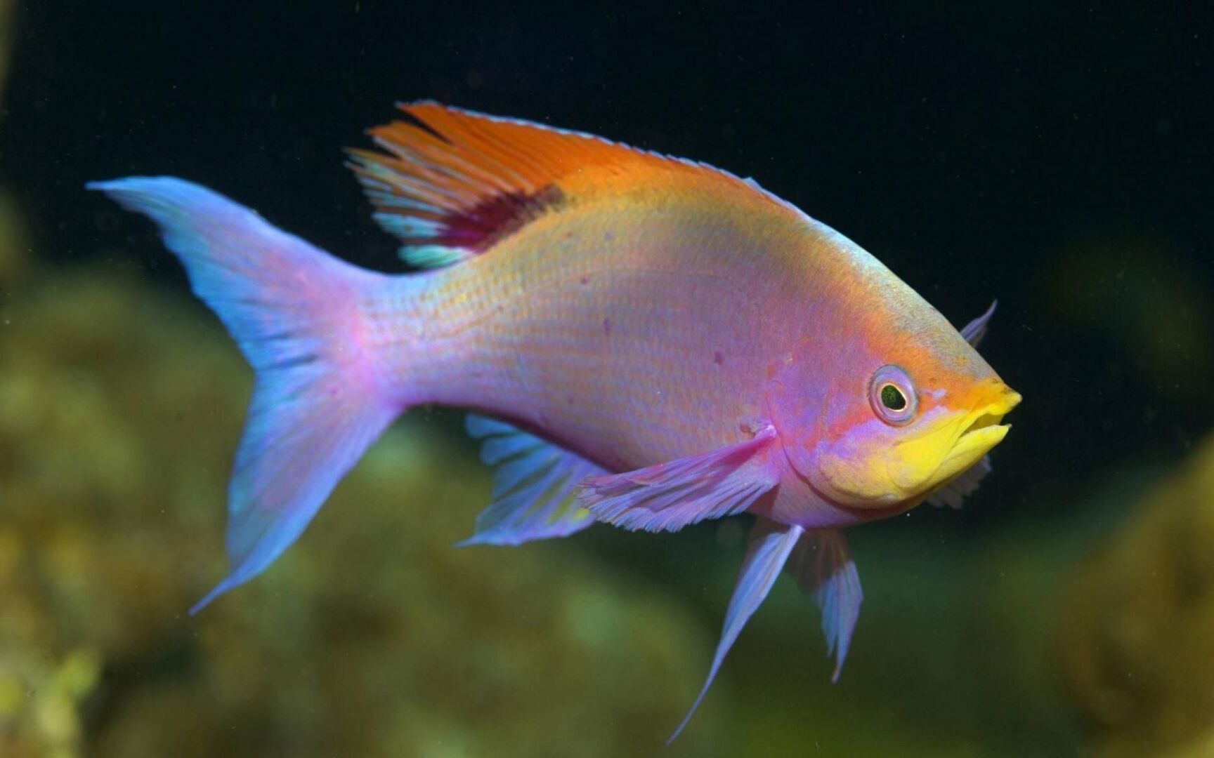 Пьяная правда: какие знаки Зодиака наиболее склонны к развитию алкоголизма?