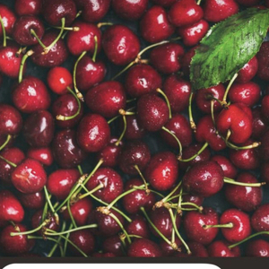 Гаврилюк Анна Николаевна