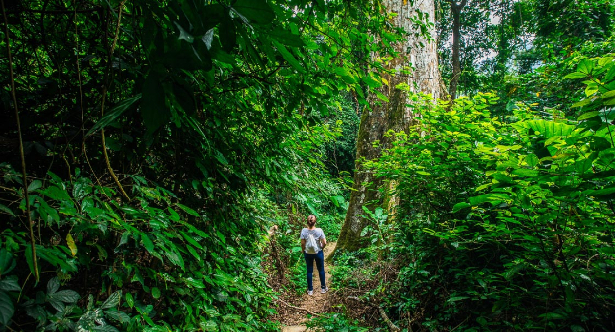 Как путешествовать по Вьетнаму.