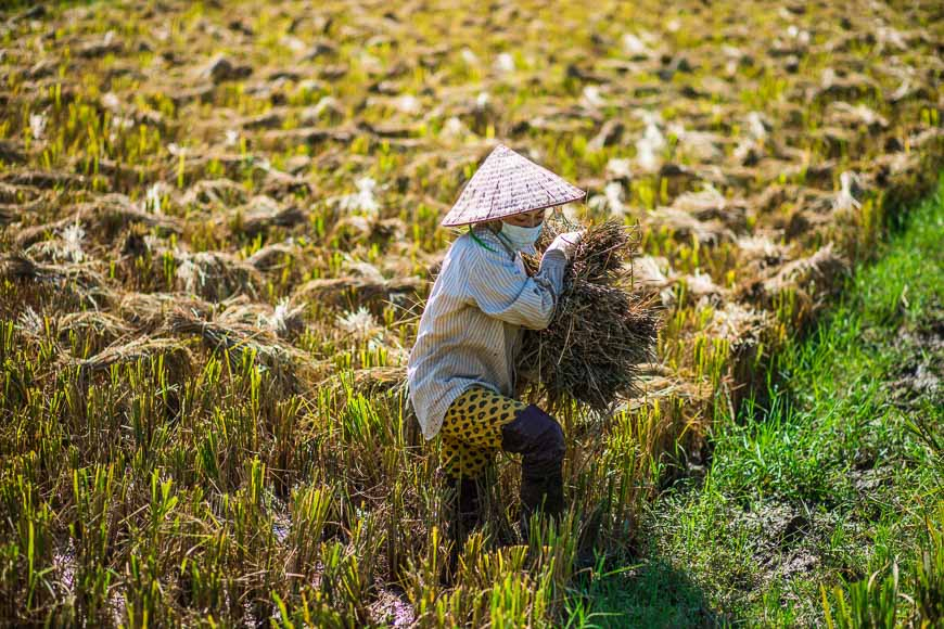 Вдохновляющие идеи путешественников.
