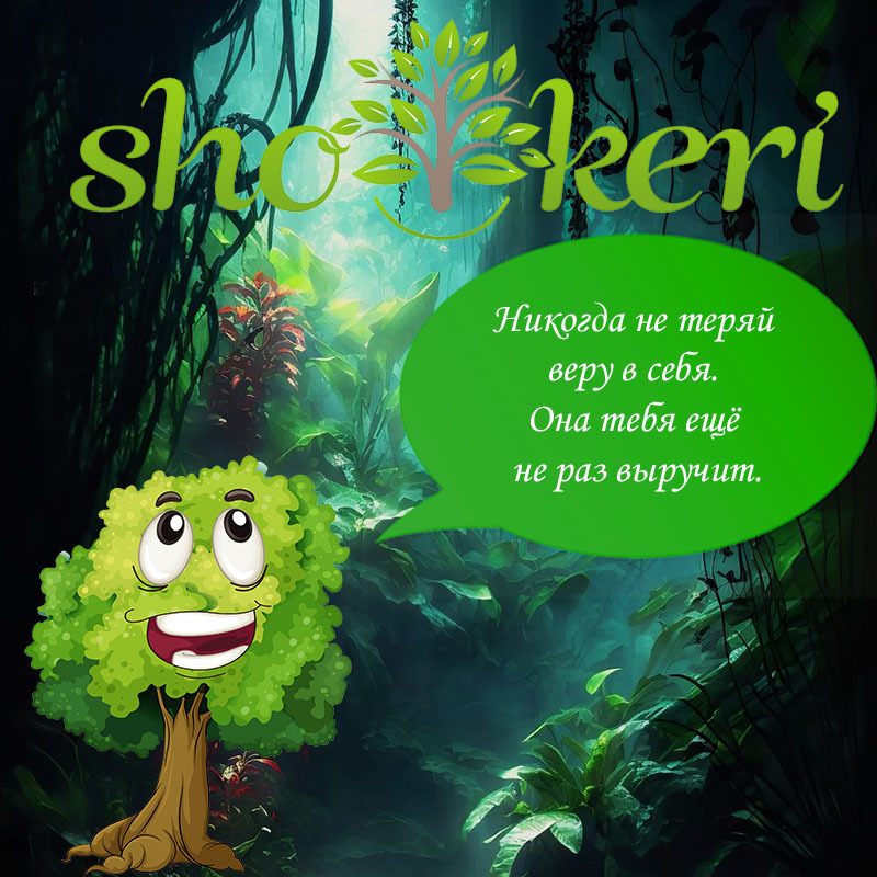 О чем нужно помнить, когда мы покупаем товары в торговых центрах