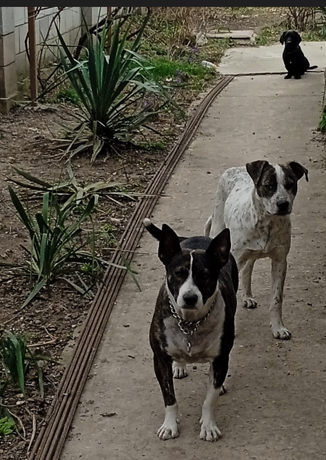 Как пережить развод когда уходит жена? Защита ваших отношений от развода: реализация готового плана успеха.