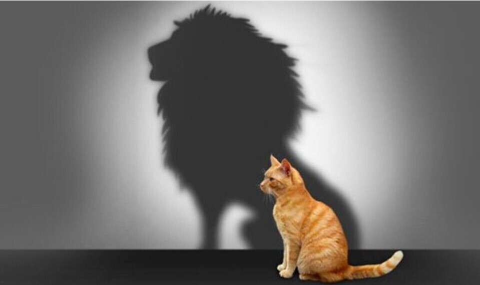 Как уверенность в себе, делает нас супер людьми. Несколько способов стать уверенней.