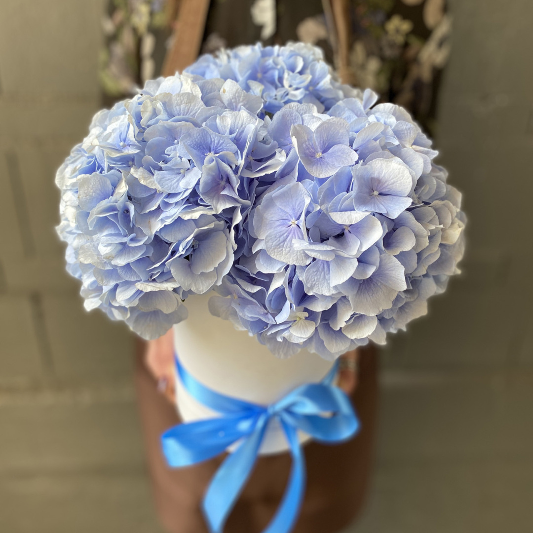 Самые опасные комнатные растения