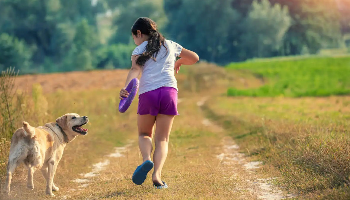 Всего 11 минут в день - ваша новая цель