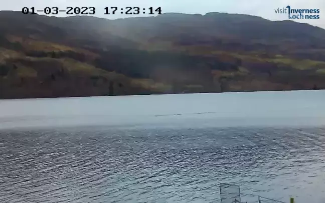 Новые кадры утверждают, что Лохнесское чудовище "не одиноко", в воде находятся два существа