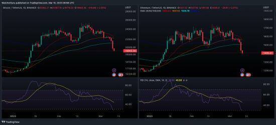 Трейдер Altcoin открыл шорт на эти 2 монеты: он заработал миллионы!