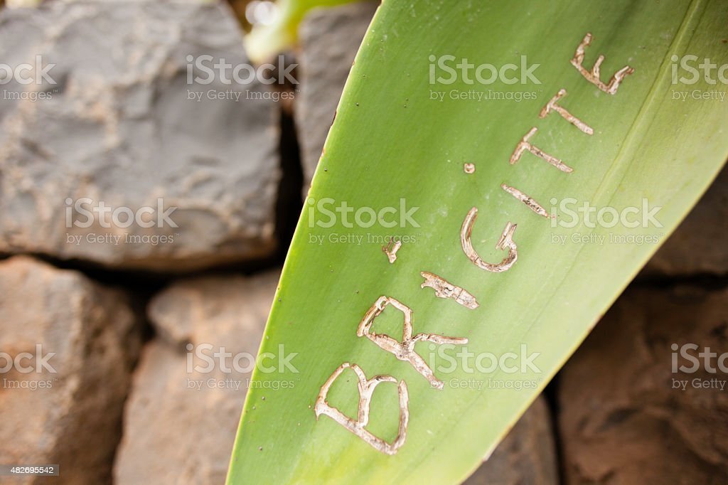 Трансфобные слухи против Брижит Макрон: повестка против двух женщин отклонена