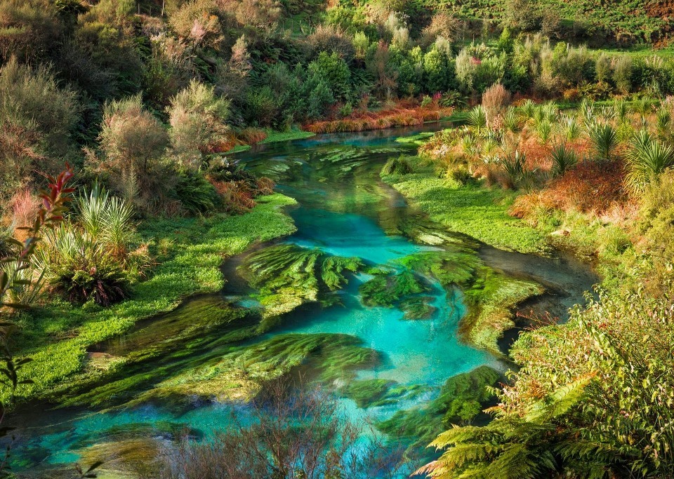 Девять интересных фактов об Новой Зеландии