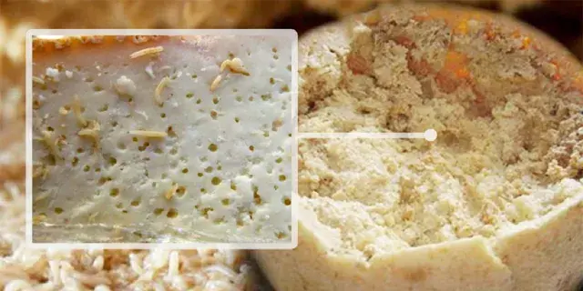 Топ-10 самых отвратительных блюд со всего мира