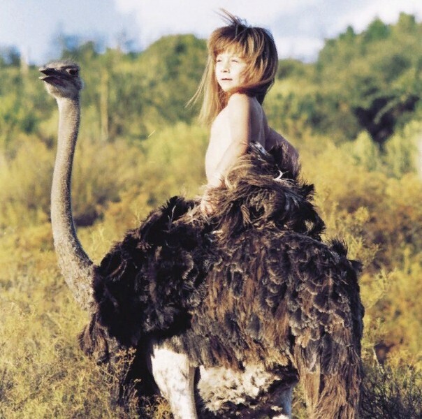 Кто Маугли?