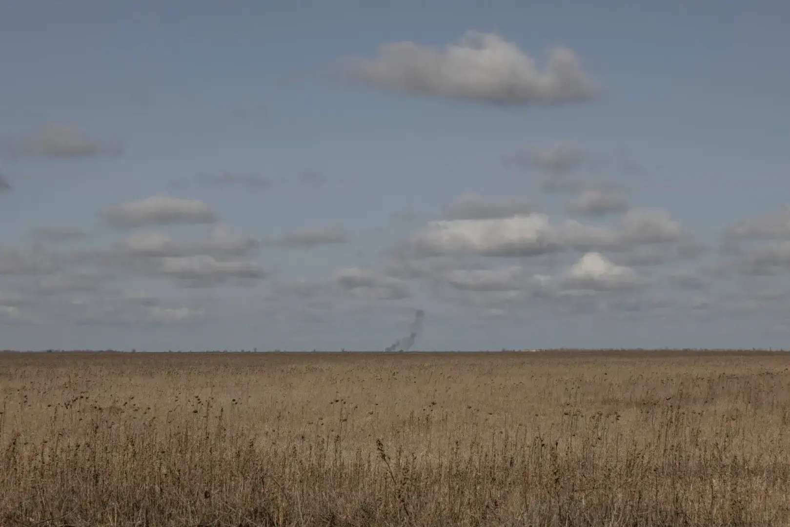 На полях, засеянных бомбами, украинские фермеры рискуют собрать смертельный урожай