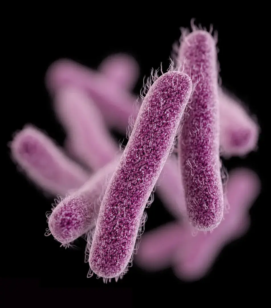 Эта желудочная инфекция не реагирует на антибиотики. Ученые обеспокоены.