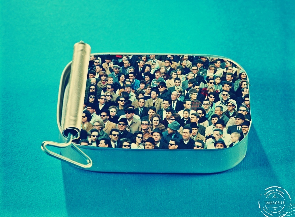 Перенаселение или снижение рождаемости: что нас ждет в будущем? Страхи Илона Маска