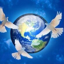 Новости со всего света, г. Котово