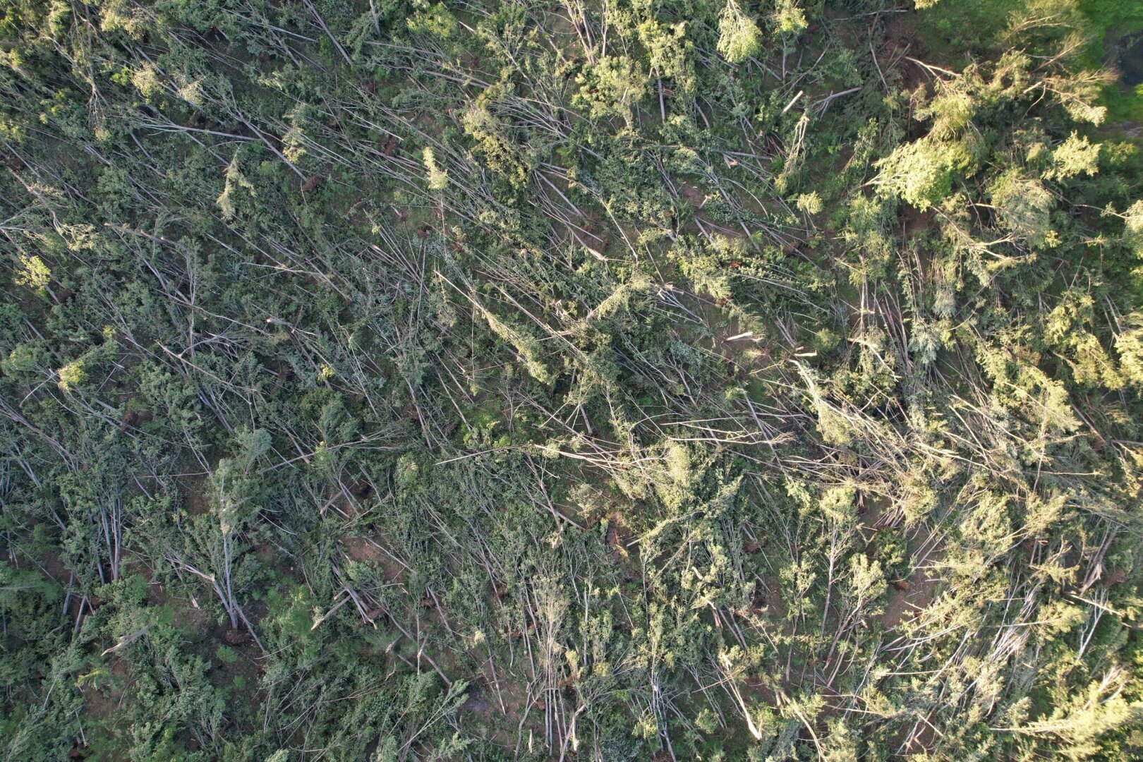 Где Канада прячет все свои торнадо?