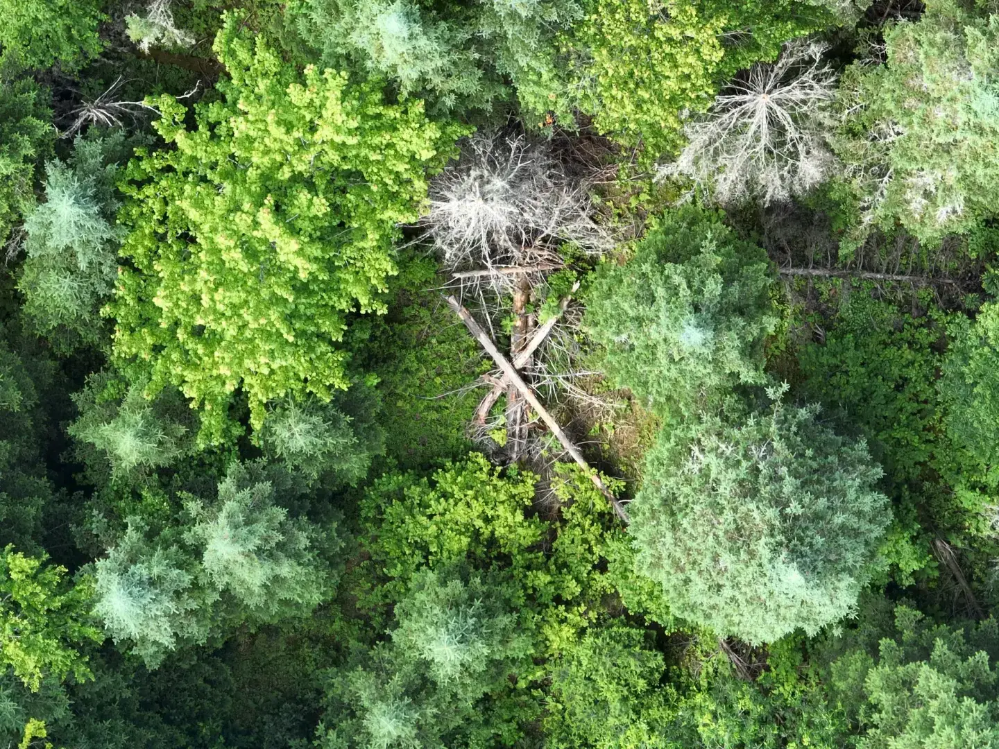 Где Канада прячет все свои торнадо?