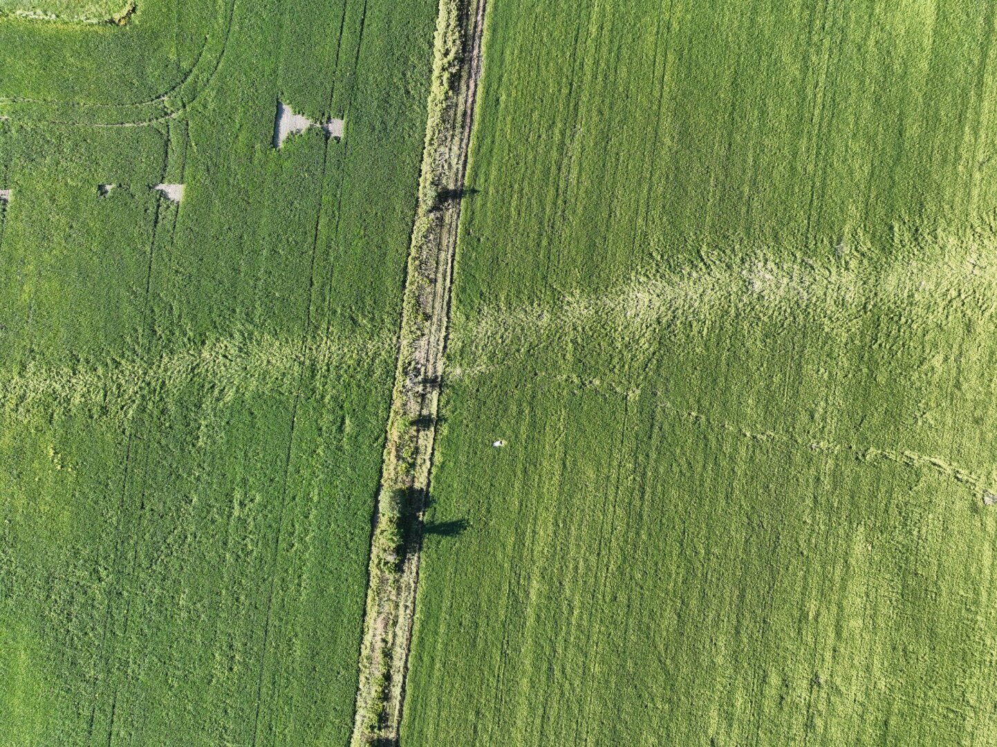 Где Канада прячет все свои торнадо?