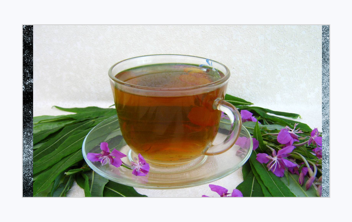 Иван чай ферментированный может оказаться эффективным средством в борьбе против коронавируса.