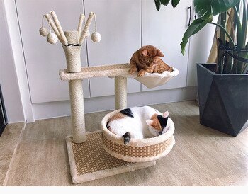 Советы и рекомендации: качественный уход за кошками по минимальной цене