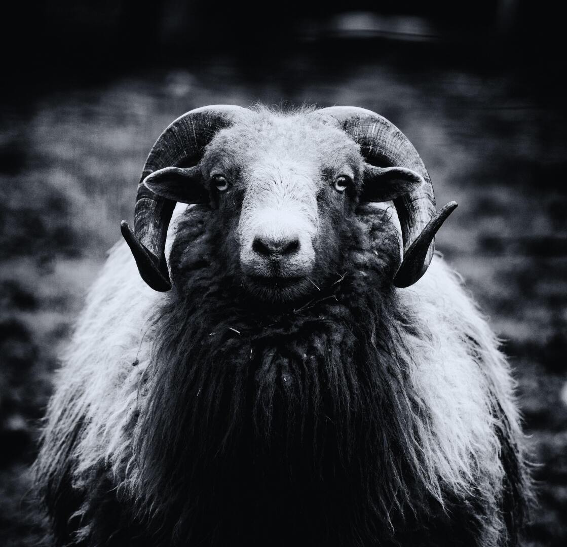 Разбор Овен: Понимание характеристик и качеств этого знака Зодиака