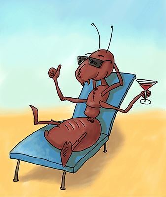 Несколько интересных фактов про разных животных, №1