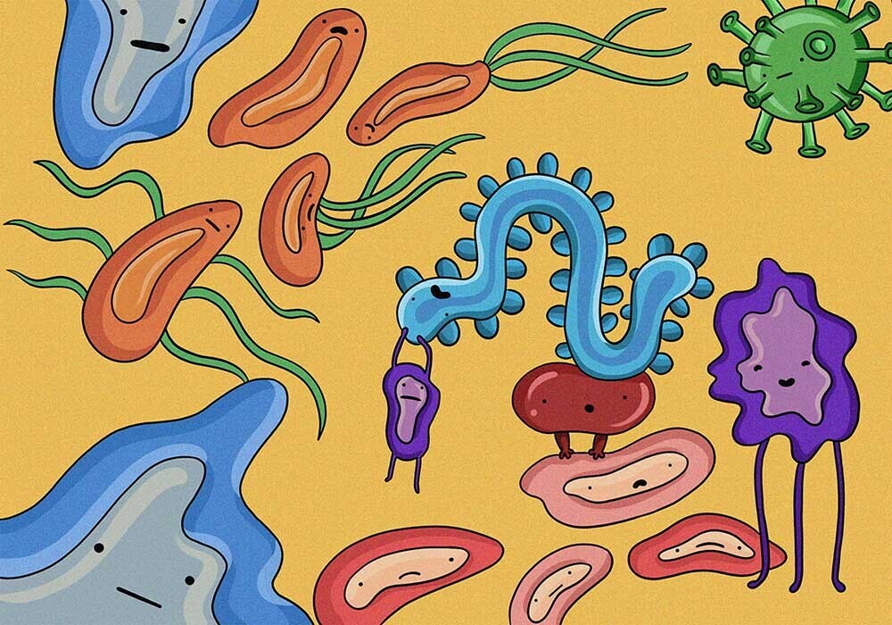 Несколько интересных фактов про разных животных, №1