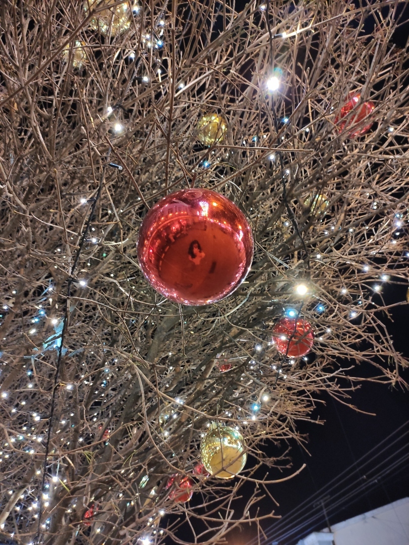 Профессиональные снимки на обычный смартфон за 20 тысяч рублей - реально?