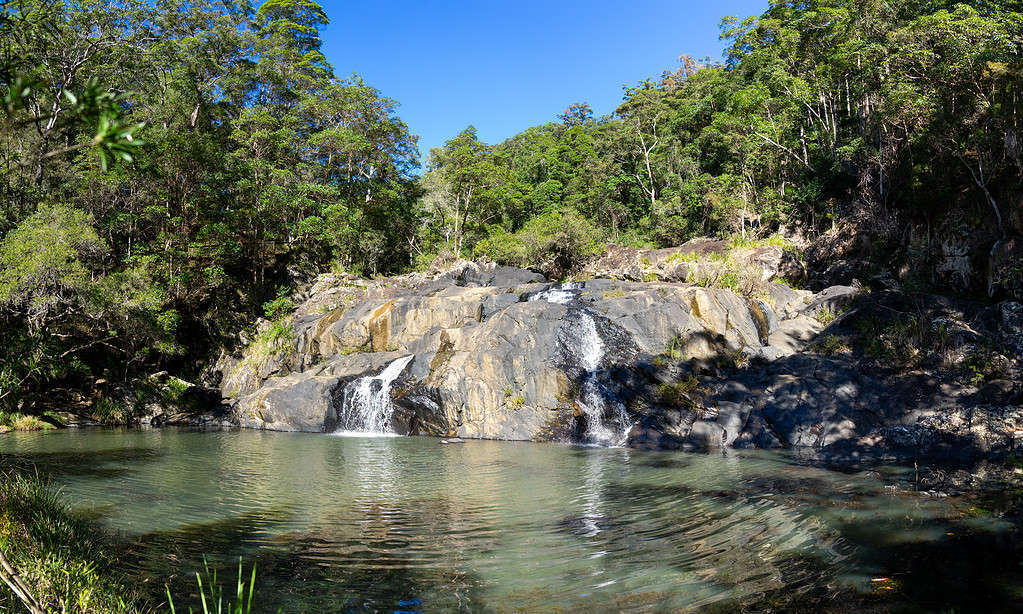 Вымершие виды лягушек.