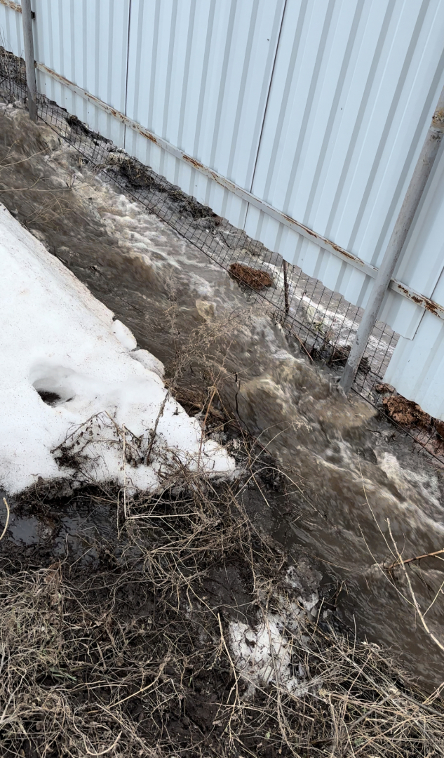 Топит участок с Полей