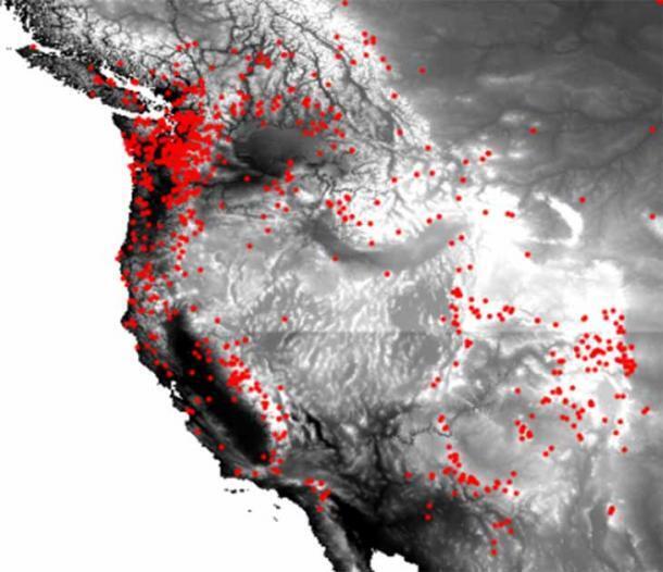 7 чудовищно известных криптидов, которых мы все еще ищем