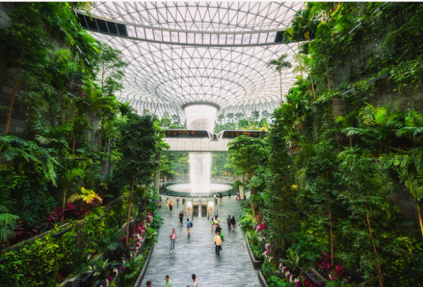 Лучшие аэропорты мира на 2023 год по версии Skytrax. Топ-3 аэропорта мира.