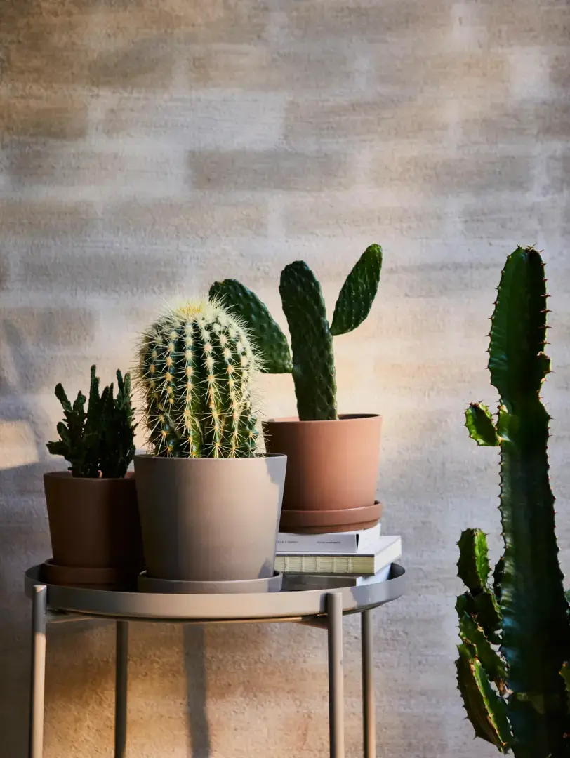 Так выглядят апрельские новинки 2023 в Икеа