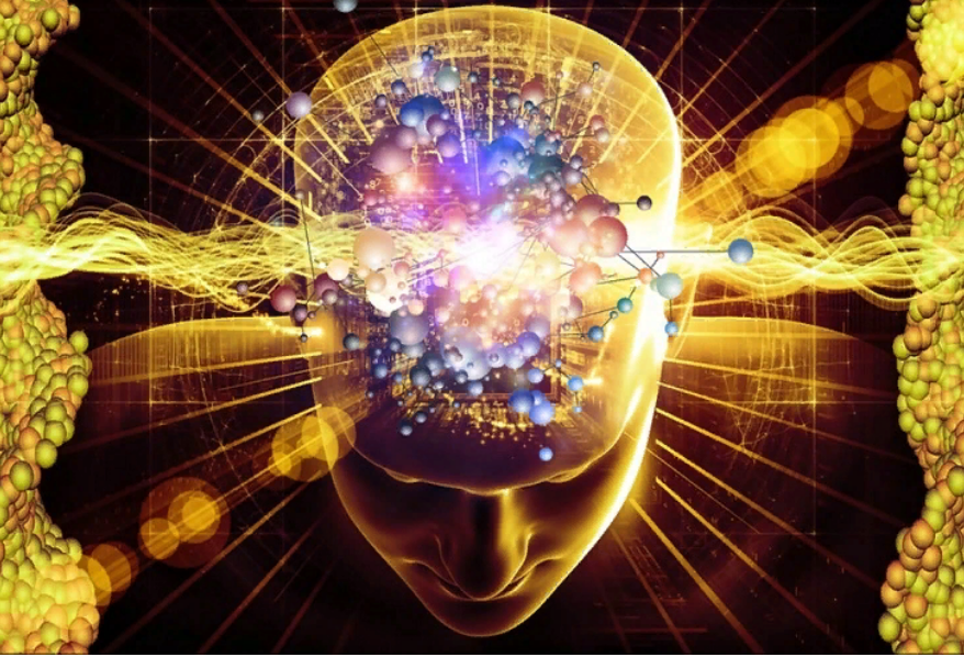 Удивительный мир человеческого мозга.