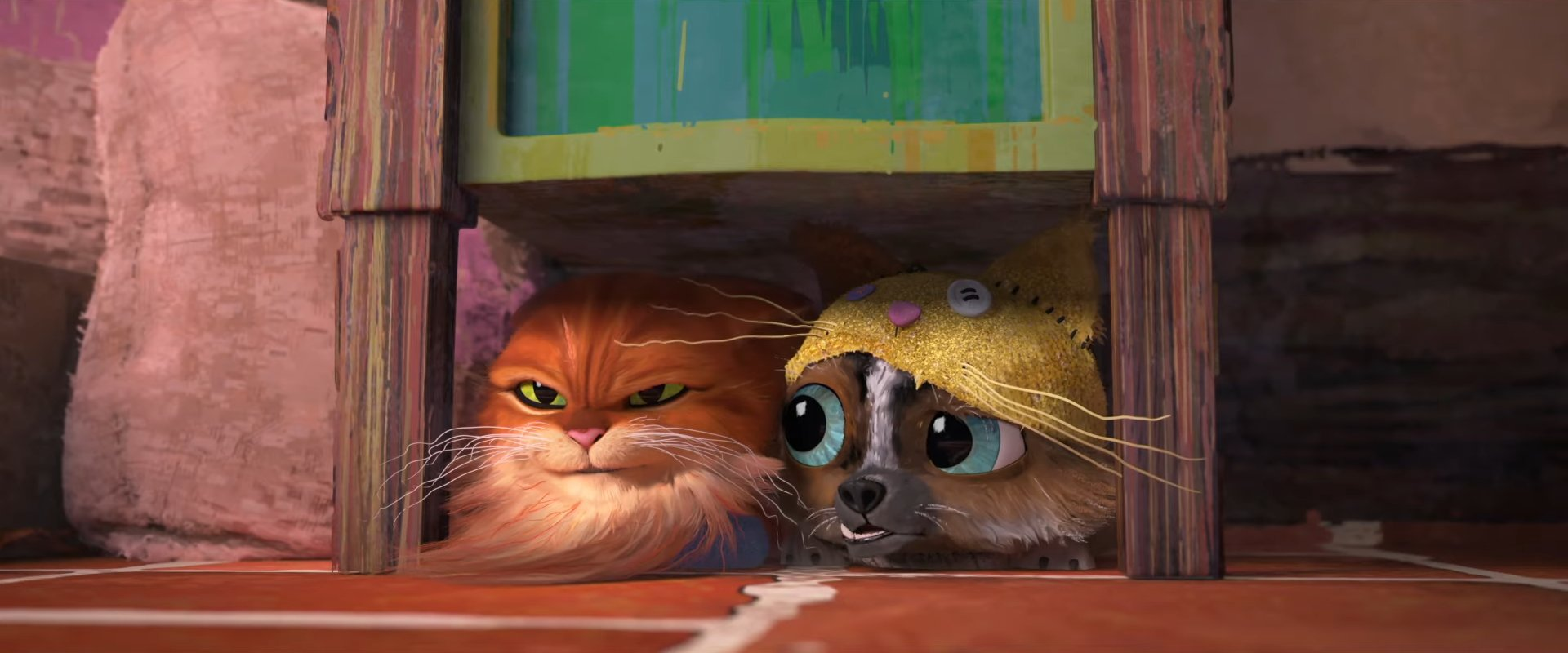 Проблемы котов в богатой вселенной