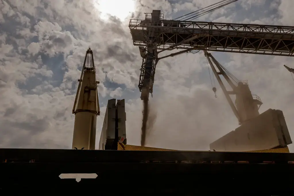 ООН ведет срочные переговоры, чтобы обеспечить поставки украинского зерна