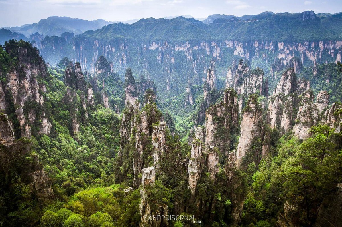 Горы Тяньцзи провинция Хунань Китай