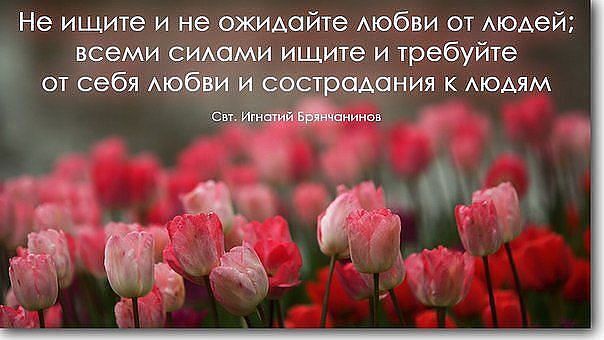 В чем состоит христианство?.. Размышления фотографа.