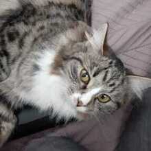 Марина, г. Москва