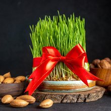 DANIIL, г. Брянск